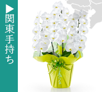 関東手持ちお届け商品