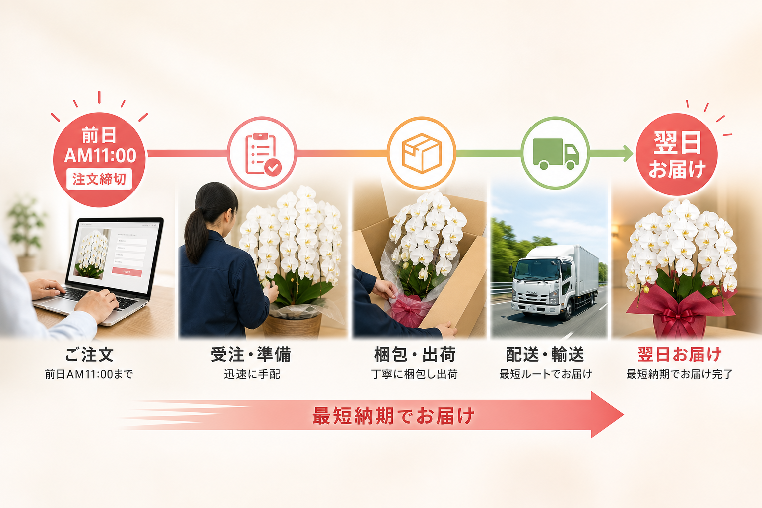 胡蝶蘭を翌日配送で全国へ届けるための注文締切時間はいつか？